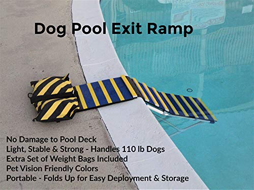 KHTS6310 Dog Pool Exit Ramp
