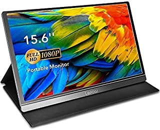 Portable Monitor - Lepow 15.6 Inch Computer Display 1920×1080 Full HD IPS Screen USB C Gaming Monitor with Type-C Mini HDMI for Laptop PC MAC Phone Xbox PS4, Include Smart Cover & Screen Protector