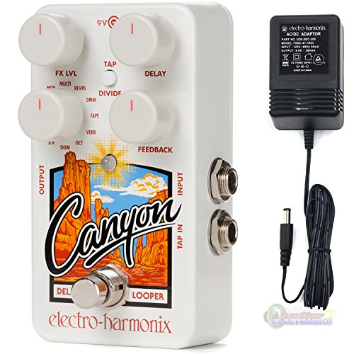 Electro Harmonix Canyon Delay and Looper