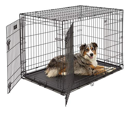 Large Dog Crate 1542DDU| MidWest ICrate Double Door Folding Metal Dog Crate|Large Dog, Black