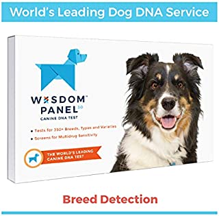 Wisdom Panel 3.0 Canine DNA Test