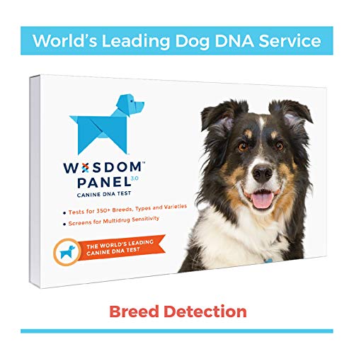 Wisdom Panel 3.0 Canine DNA Test