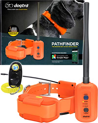 Dogtra Pathfinder Dog Remote Training