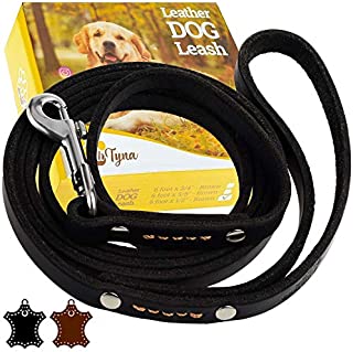 ADITYNA Leather Dog Leash 6 Foot - Soft and Strong Leather Leash for Small and Medium Dog (6 ft x 1/2