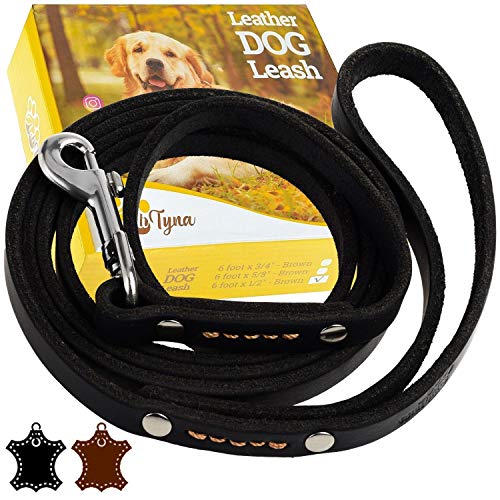 ADITYNA Leather Dog Leash 6 Foot - Soft and Strong Leather Leash for Small and Medium Dog (6 ft x 1/2