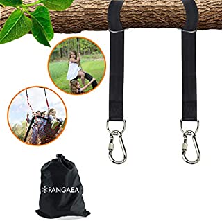 Tree Swing Hanging Straps Kit, Heavy Duty Holds 2200LBS 5FT Extra Long, with Safer Lock Snap Carabiners & Carry Pouch Bag