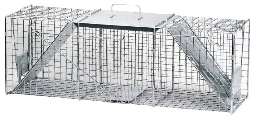 10 Best Small Animal Traps