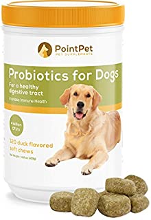 POINTPET Probiotics for Dogs - Natural Probiotic Supplement with Prebiotics, Relief from Diarrhea, Dry and Itchy Skin, Gas, Constipation, Allergies - Digestive and Immune Support, 120 Soft Chews