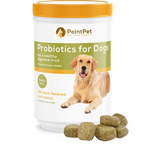 POINTPET Probiotics for Dogs - Natural Probiotic Supplement with Prebiotics, Relief from Diarrhea, Dry and Itchy Skin, Gas, Constipation, Allergies - Digestive and Immune Support, 120 Soft Chews