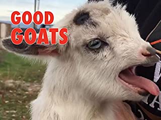 Clip: Good Goats