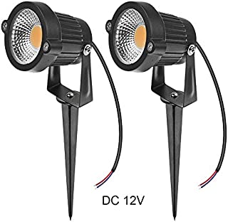 LemonBest High Power Outdoor Decorative Lamp Lighting 5W COB LED Landscape Garden Wall Yard Path Light Warm Cool White DC 12V w/Spiked Stand, Pack of 2 (Warm White)