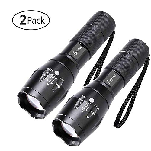 2 Pack One Mode Led Flashlights