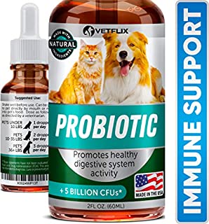 Premium Probiotics for Dogs & Cats - Digestive Enzymes & Prebiotics Supplement - Relieves Diarrhea, Vomiting, Upset Stomach, Gas, Constipation & Bad Breath - Boost Pet Immune System/ Improve Digestion