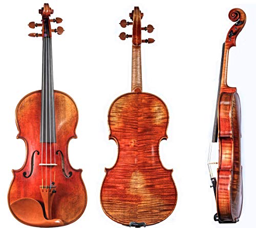 D Z Strad Model 365 Violin 4/4 Full Size with Open Clear Tone with Dominant Strings, Case, Bow, Rosin and Shoulder Rest