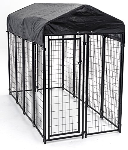 9 Best Outdoor Dog Kennel For Large Dogs
