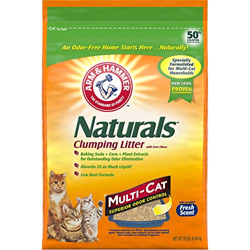 8 Best Biodegradable Clumping Cat Litter