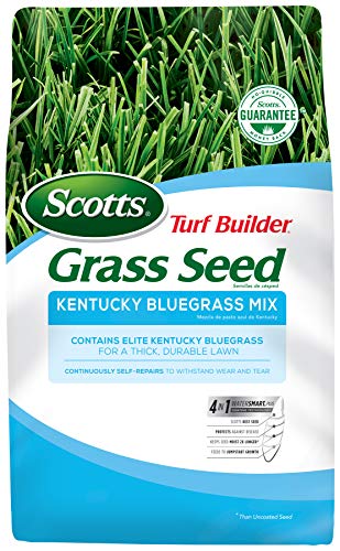 Scotts Turf Builder Grass Kentucky Bluegrass Mix-7 lb, Use in Full Sun, Light Shade, Fine Bladed Texture, and Medium Drought Resistance, Seeds up to 4,725 sq. ft