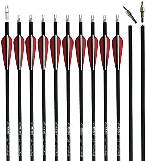 REEGOX Archery Hunting Practice Arrows