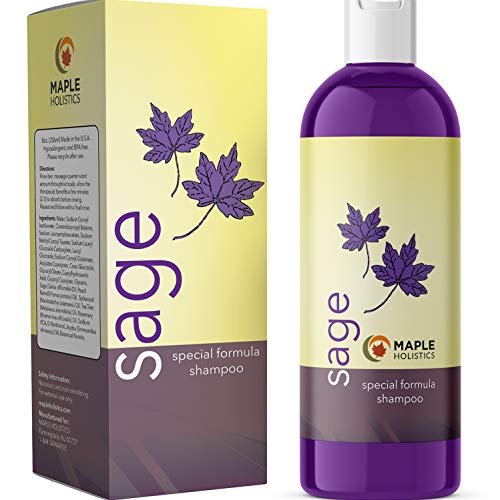 Maple Holistics Sage Shampoo for Anti Dandruff with Jojoba Argan and Organic Tea Tree Oil  Natural Sulfate Free Treatment for Women and Men  Safe for Color Treated Hair (8 fl. oz.)