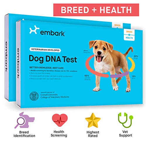 Embark | Dog DNA Test | Breed & Health Kit