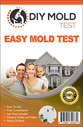 10 Best Mold Test Kits