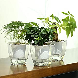 FENGZHITAO Self-Watering Planter, Clear Plastic Automatic-Watering Planter Flower Pot Square-Plant-Pot for All Plants, Succulents, Herb, African Violets, Flowers (3 Pack Medium)