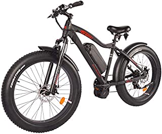 DJ Fat Bike Mid Drive 750W 48V 13Ah Power Electric Bicycle