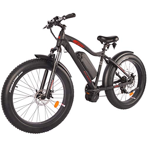 DJ Fat Bike Mid Drive 750W 48V 13Ah Power Electric Bicycle