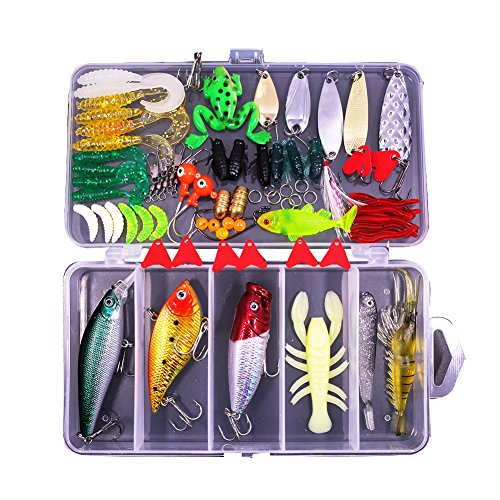 10 Best Bass Lures For Florida