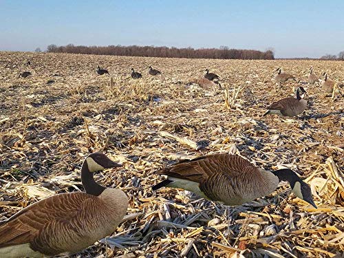 TCDesignerProducts, Goose Silhouette Decoys, Hunting Decoys, Duck Hunting, Set of 12