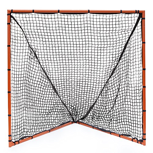 10 Best Box Lacrosse Goals