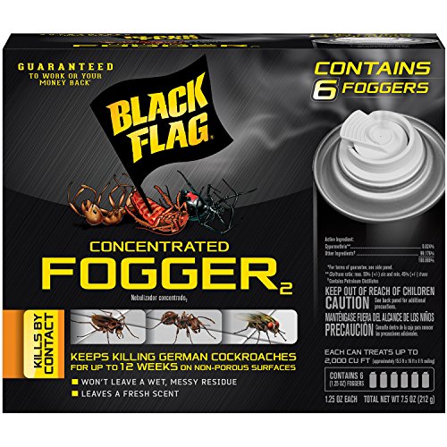 10 Best Insect Fogger Roaches