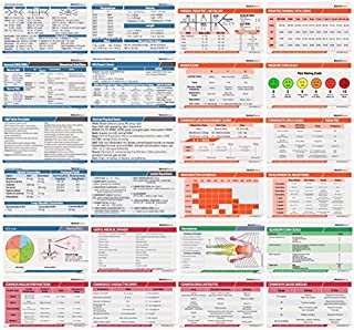 Scrubnotes - Medical Reference ID Badge Cards - 13 Card Set - Reference sheets for Doctors and Nurses