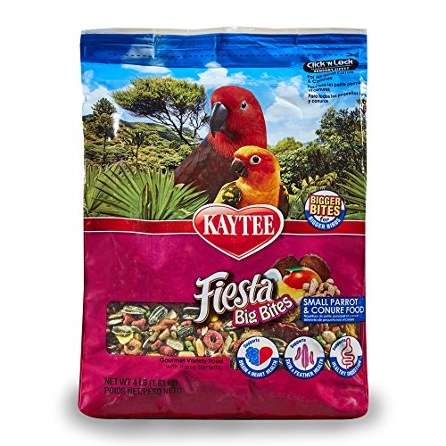Kaytee Big Bites For Small Parrots And Conures, 4 Ib