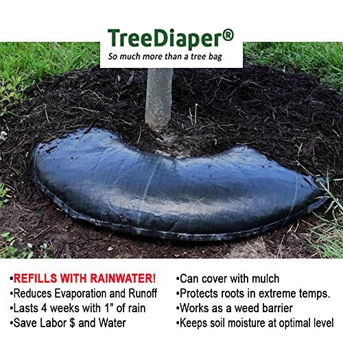 Tree Diaper Smart