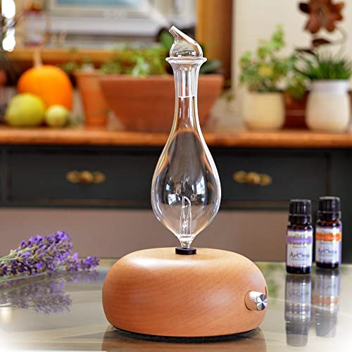 9 Best Nebulizing Diffusers