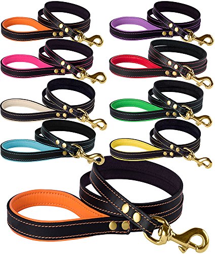 BRONZEDOG Leather Dog Leash 4 ft, Heavy Duty Training Dog Lead Small Large Black Brown Pink Red Purple Beige Green Orange Red Blue Yellow (Small, Black/Orange)