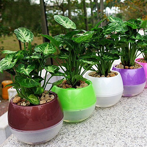 Mkono 3 Pack Self Watering Planter Plastic Flower Pot 5 Inch (Mixed Colors)