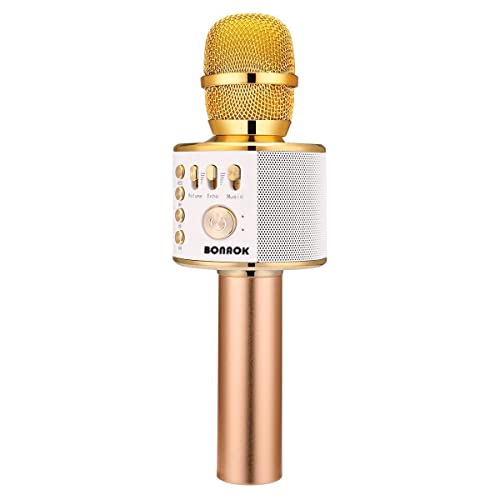 10 Best Karaoke Microphones