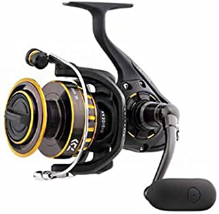 Daiwa BG 2000