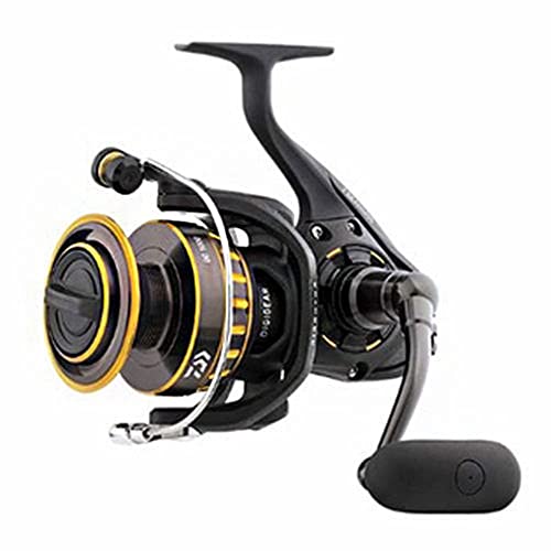 10 Best Spinning Reels For Bass