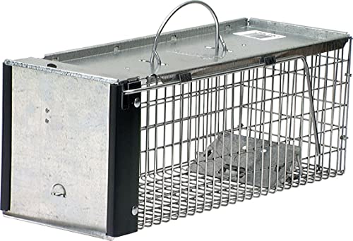 10 Best Animal Traps