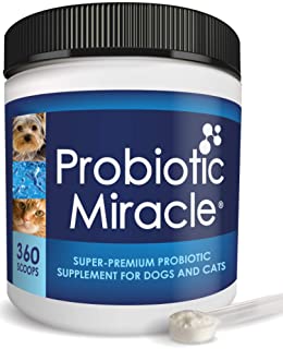 Nusentia's Probiotic Miracle