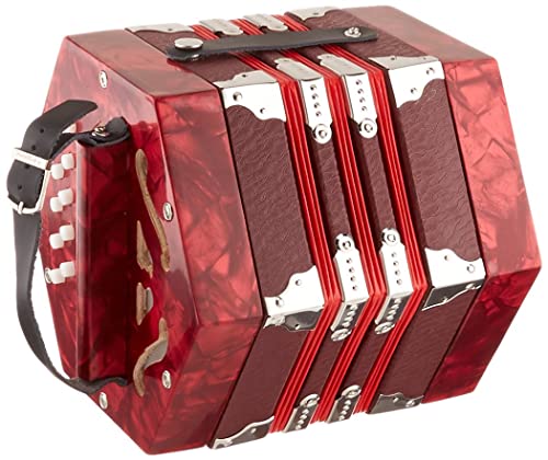 Johnson FI-120 Concertina