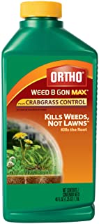 Ortho Weed-B-Gon Max