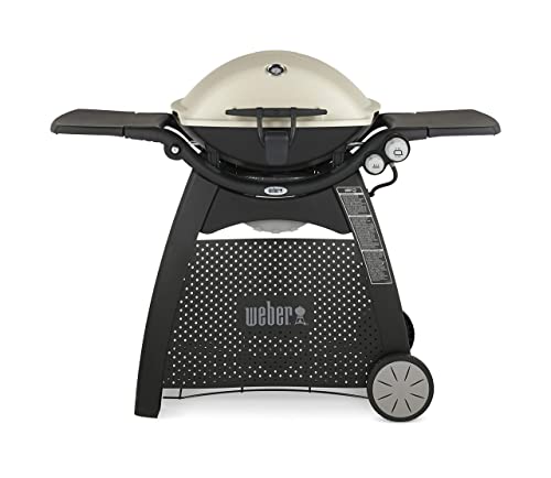 Weber Q-3200