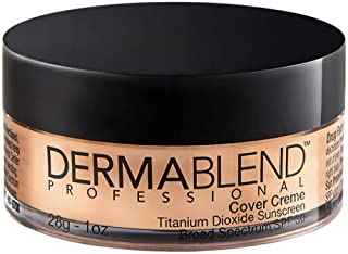 Dermablend Professional