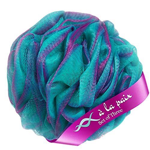 10 Best Shower Sponges