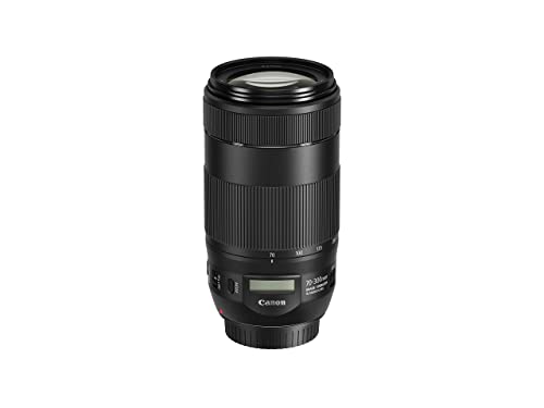 10 Best Telephoto Lenses For Canon