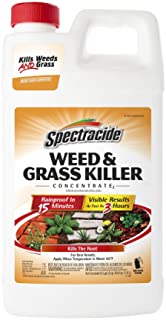 Spectracide Concentrate